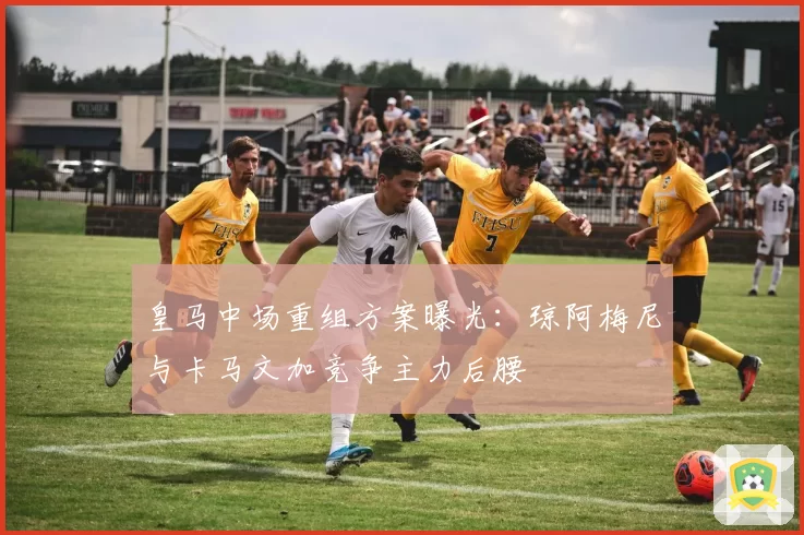 皇马中场重组方案曝光：琼阿梅尼与卡马文加竞争主力后腰