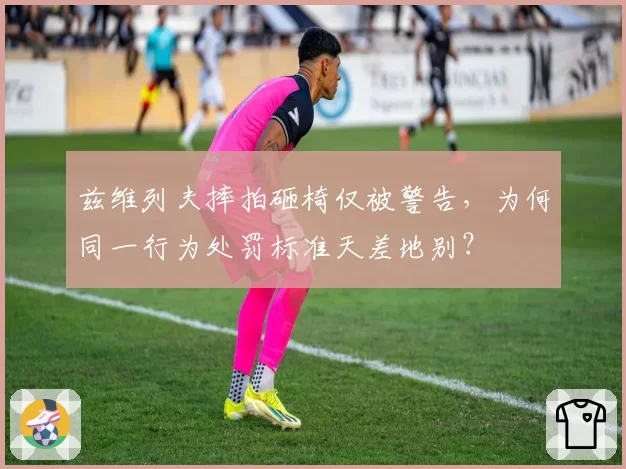 兹维列夫摔拍砸椅仅被警告,为何同一行为处罚标准天差地别?