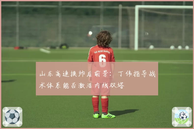山东高速换帅后前景：丁伟指导战术体系能否激活内线双塔