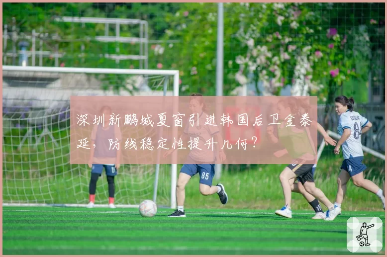 深圳新鹏城夏窗引进韩国后卫金泰延，防线稳定性提升几何？